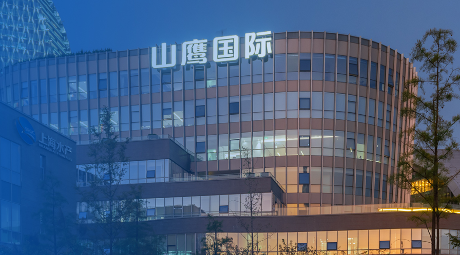 山鷹2.png 山鷹2.png